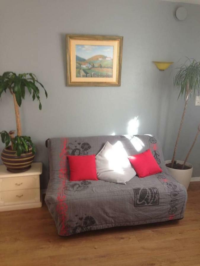 Petit Appartement Douillet Tres Bien Situe Biarritz Exterior foto